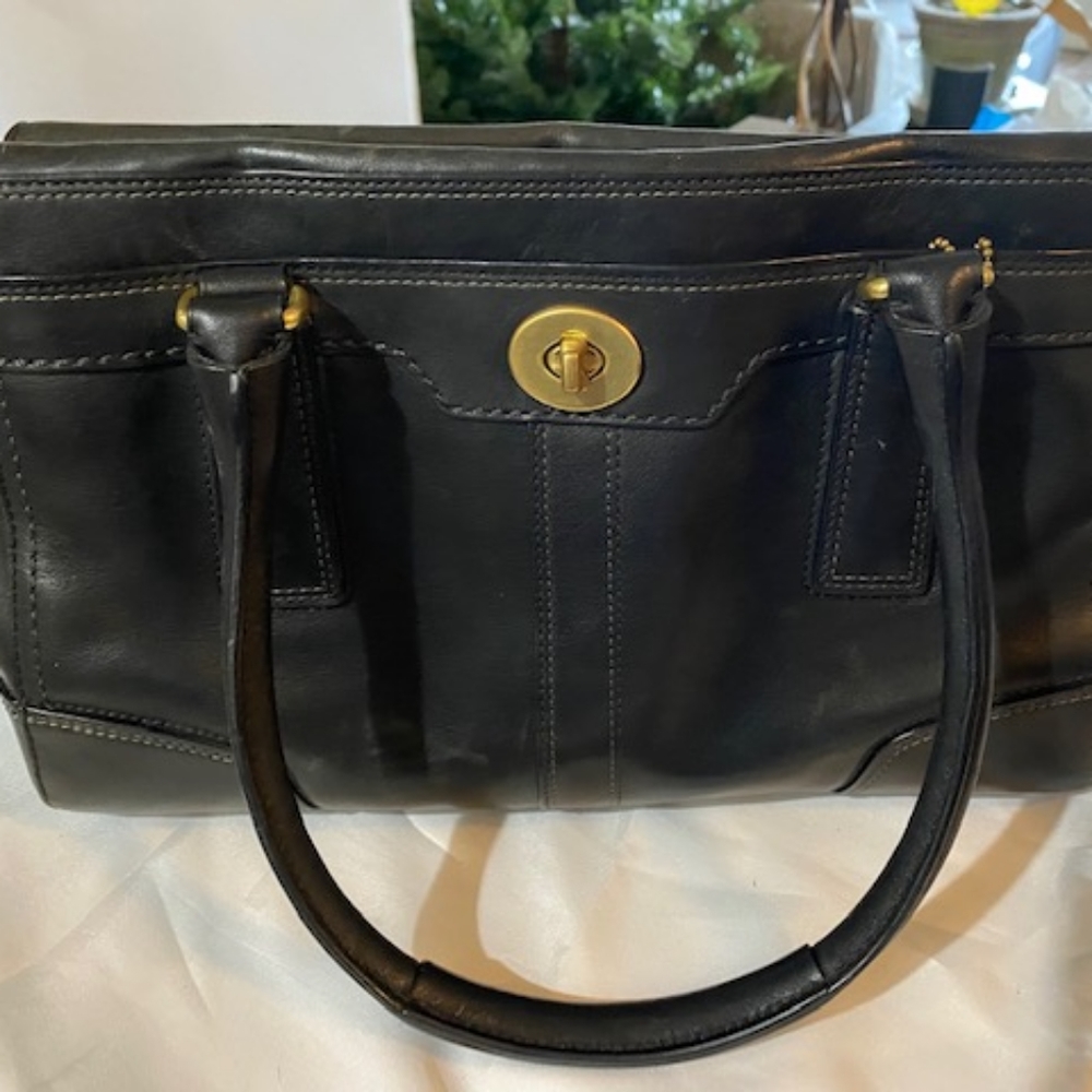 Hampton Leather Carryall